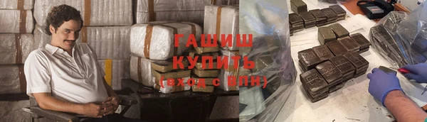 индика Алзамай