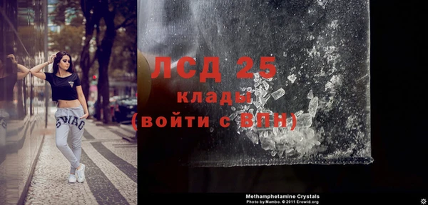 крисы Аркадак