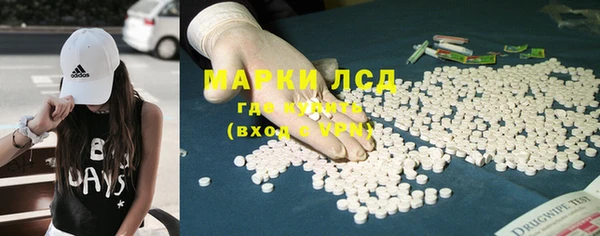 крисы Аркадак
