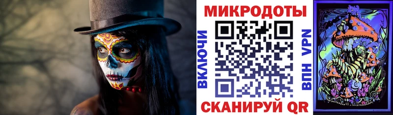 наркота  Кирово-Чепецк  Псилоцибиновые грибы Psilocybine cubensis 