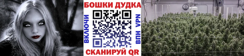 сколько стоит  Кирово-Чепецк  Каннабис Amnesia 